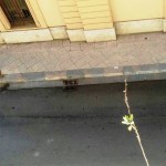 Allarme bomba alla stazione di Agrigento, intervento degli artificieri