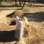 12346626_944671488958517_51829775_n