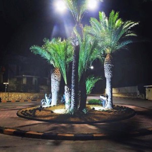 La rotonda a San Leone presa in cura da Andrea Furnari 