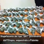 La droga sequestrata