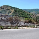 L'incendio di Camaro a Messina