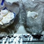 La cocaina sequestrata