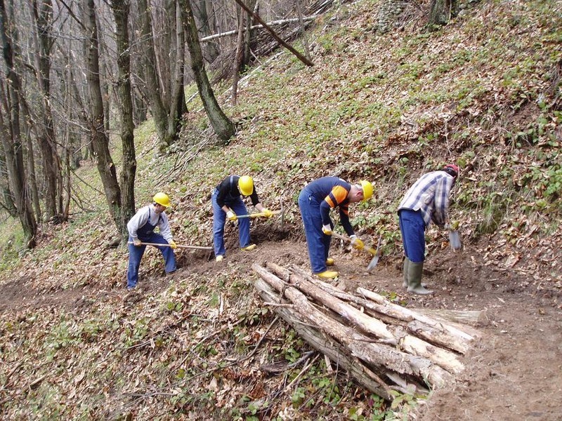 Sicilia, forestali lavoreranno tutto il mese di maggio nei parchi archeologici Sicilia, forestali lavoreranno tutto il mese di maggio nei parchi archeologici