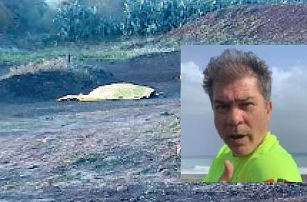 Acrobazie fatali per il campione di motocross morto Carmelo Barone