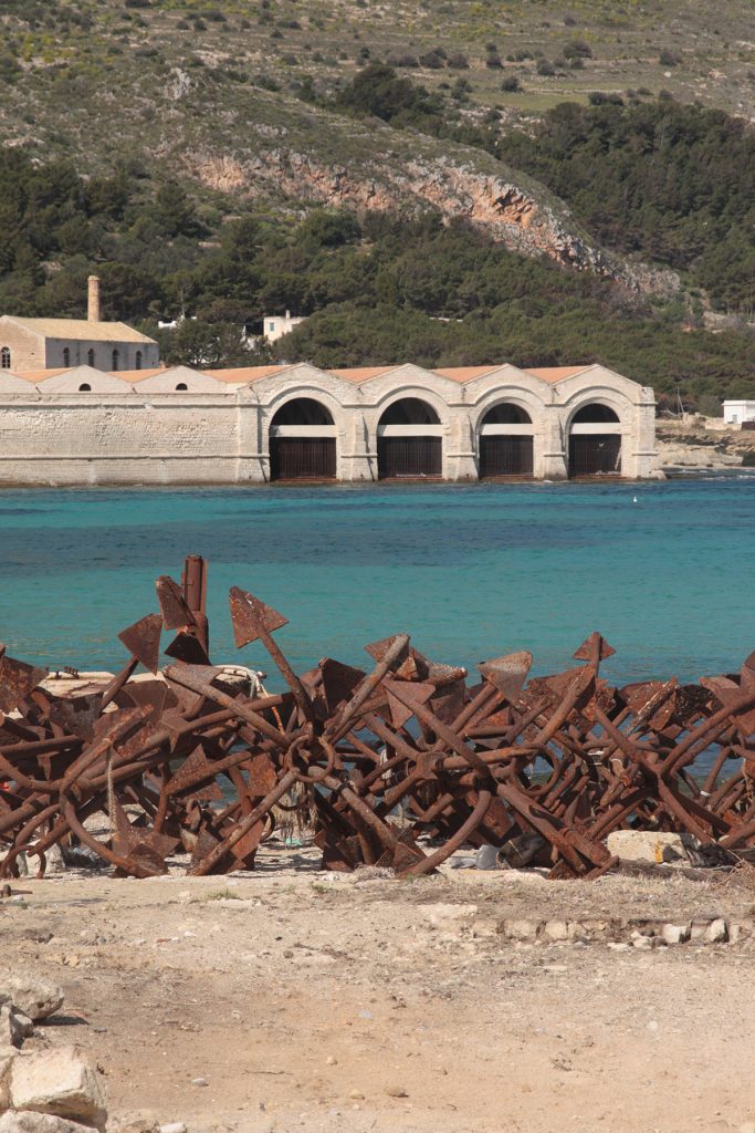 Camparìa di Favignana