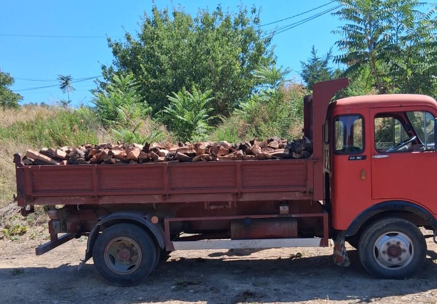 Dissequestrato camion trasportante materiale legnoso senza il FIR: accolto il ricorso e restituito il mezzo